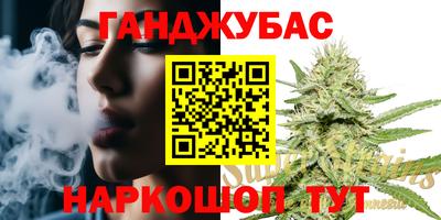 мдпв Бердск