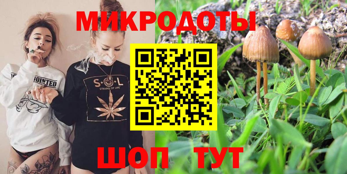 Галлюциногенные грибы ЛСД Дербент