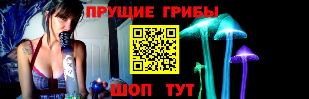 где купить наркотик  Вход с VPN  Дербент  Галлюциногенные грибы мицелий 
